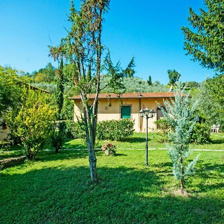 Appartamento Locazione Turistica Il Gelsomino La Collina Esterno foto